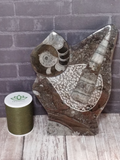Fossil Statue with thread spool size reference