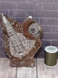 Fossil Statue with thread spool size reference