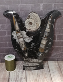 Fossil Statue with thread spool size reference