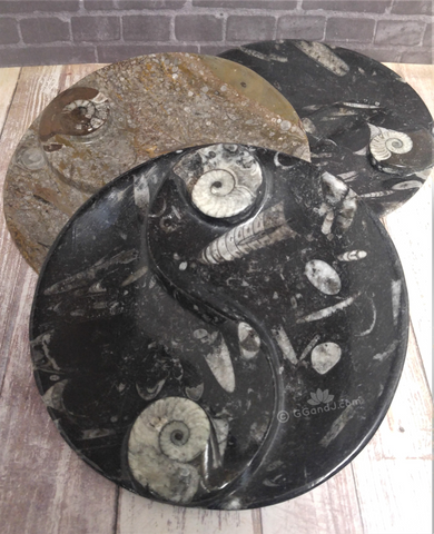 Ammonite Ying Yang plates large