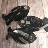 Ammonite fossil fish plates