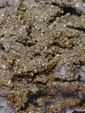 Close up of Pyrite druzy mineral