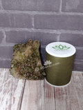 Epidote on Quartz with size reference