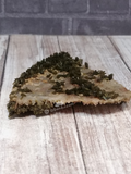 Row of epidote on quartz base matrix GGandJ.com Naturally Unique