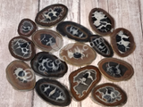 Septarian Dragon Egg Slice Gypsy Gems & Jewelry Naturally Unique