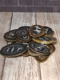 Fossil Slices from Madagascar Septarian
