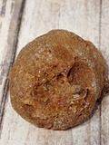 Underside of Stromatolite fossil