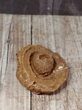 Fossil algae that looks like an eye