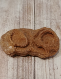 Stromatolite fossil from Morocco on GGandJ.com
