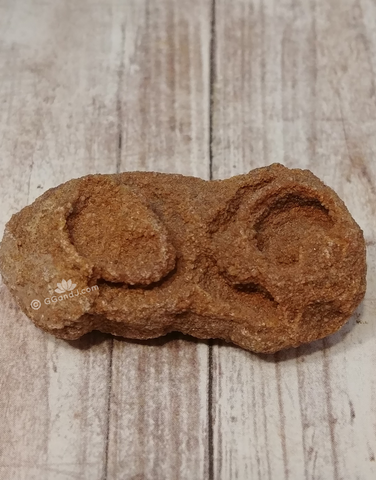 Stromatolite fossil from Morocco on GGandJ.com