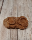 Stromatolite Orange Mineral Fossil