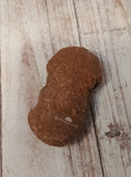 Underside of Stromatolite fossil