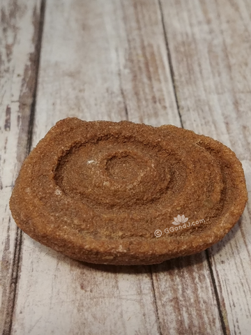 Stromatolite fossil from Morocco on GGandJ.com