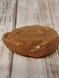 Side view of Stromatolite