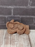 Stromatolite Orange Mineral Fossil