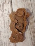 Abstract looking Stromatolite Fossil