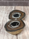Septarian nodule sliced pair from Madagascar