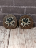 Septarian Fossil Pair