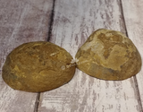 Outside of Septarian Nodule
