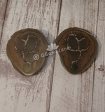 Septarian Dragon Egg Nodule Sliced Pair Gypsy Gems & Jewelry Naturally Unique