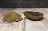 Side view of Septarian fossil nodule split