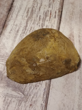 Outside of Septarian Nodule