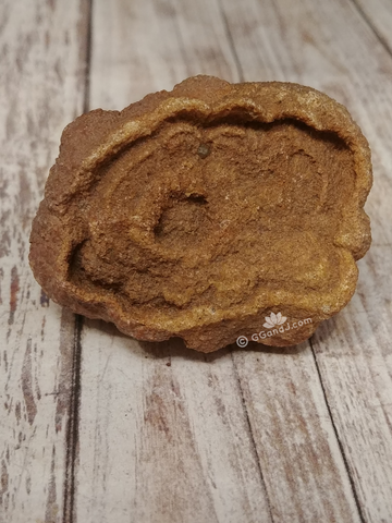 Stromatolite fossil from Morocco on GGandJ.com