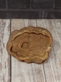Stromatolite Orange Mineral Fossil