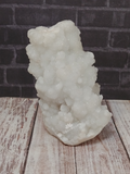 White sparkly coral looking stone Chalcedony from India