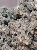 Druzy Chalcedony with double Apophyllite points