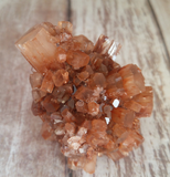 Aragonite Ball from Morocco on GGandJ.com Natural Red Gemstone Mineral Firework Explosion shape