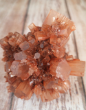Aragonite Ball from Morocco on GGandJ.com Natural Red Gemstone Mineral Firework Explosion shape