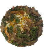 Brown crickets eating Reptanicals Cricket Feast