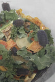 Little Sea Isopods eating Reptanicals Isopod Feast