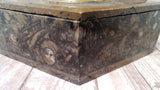 Ammonite Keepsake Box - Medium - Diamond