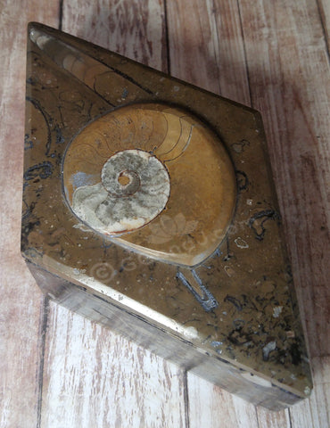 Gypsy Gems & Jewelry™ Naturally Unique™ Medium Diamond Fossil Box