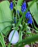 Easter Selenite Egg