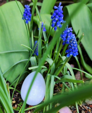 Easter Selenite Egg