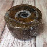 Moroccan Fossil Ring Box A
