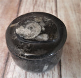 Moroccan Fossil Ring Box E