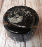Moroccan Fossil Ring Box I