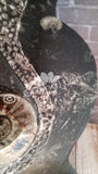 Gypsy Gems & Jewelry™ Naturally Unique™ Goddess 2 Ammonite Statue GGandJ.com