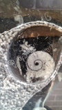 Gypsy Gems & Jewelry™ Naturally Unique™ Goddess 2 Ammonite Statue Right Side GGandJ.com
