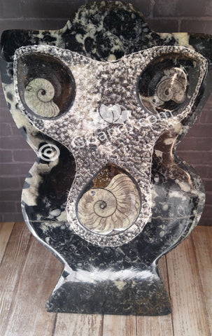 Gypsy Gems & Jewelry™ Naturally Unique™ Goddess 4 Ammonite Statue GGandJ.com