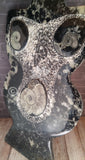 Gypsy Gems & Jewelry™ Naturally Unique™ Goddess 4 Ammonite Statue Profile view GGandJ.com