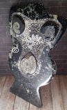 Gypsy Gems & Jewelry™ Naturally Unique™ Goddess 4 Ammonite Statue Profile view 2 GGandJ.com