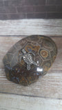 Pewter sea turtle figurine on polished fossil coral