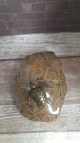 Sea life home decor gift idea GGandJ
