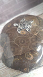 Polished coral patterned gift idea