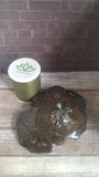 Coral fossil with sea turtle and thread spool size reference